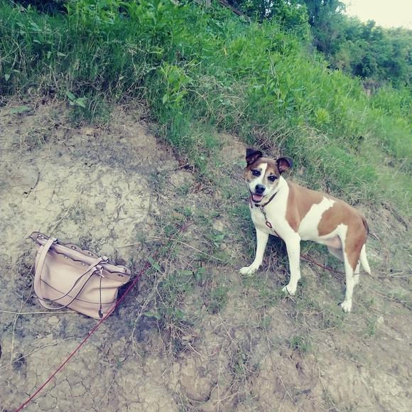 Meet your Posher, Vanessa - Picture 4 of 10